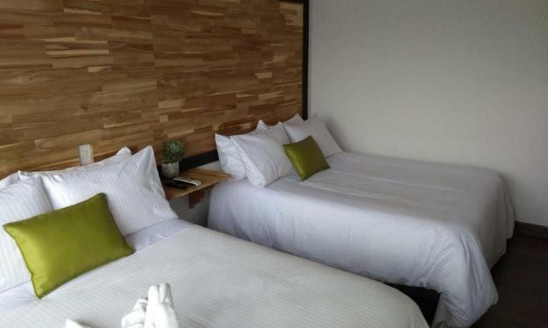 Sisga Hotel Boutique Choconta Extérieur photo